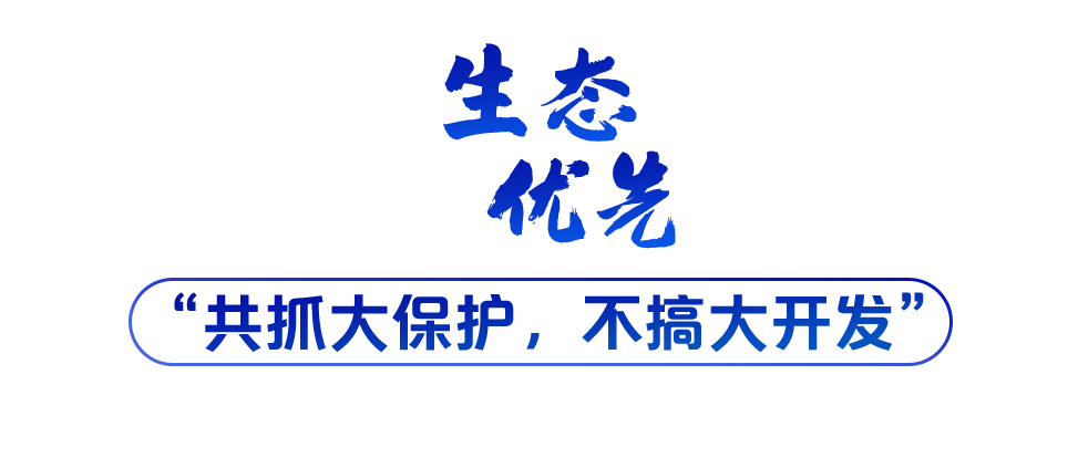 學(xué)習(xí)關(guān)鍵詞丨聽，長江經(jīng)濟(jì)帶高質(zhì)量發(fā)展“協(xié)奏曲”