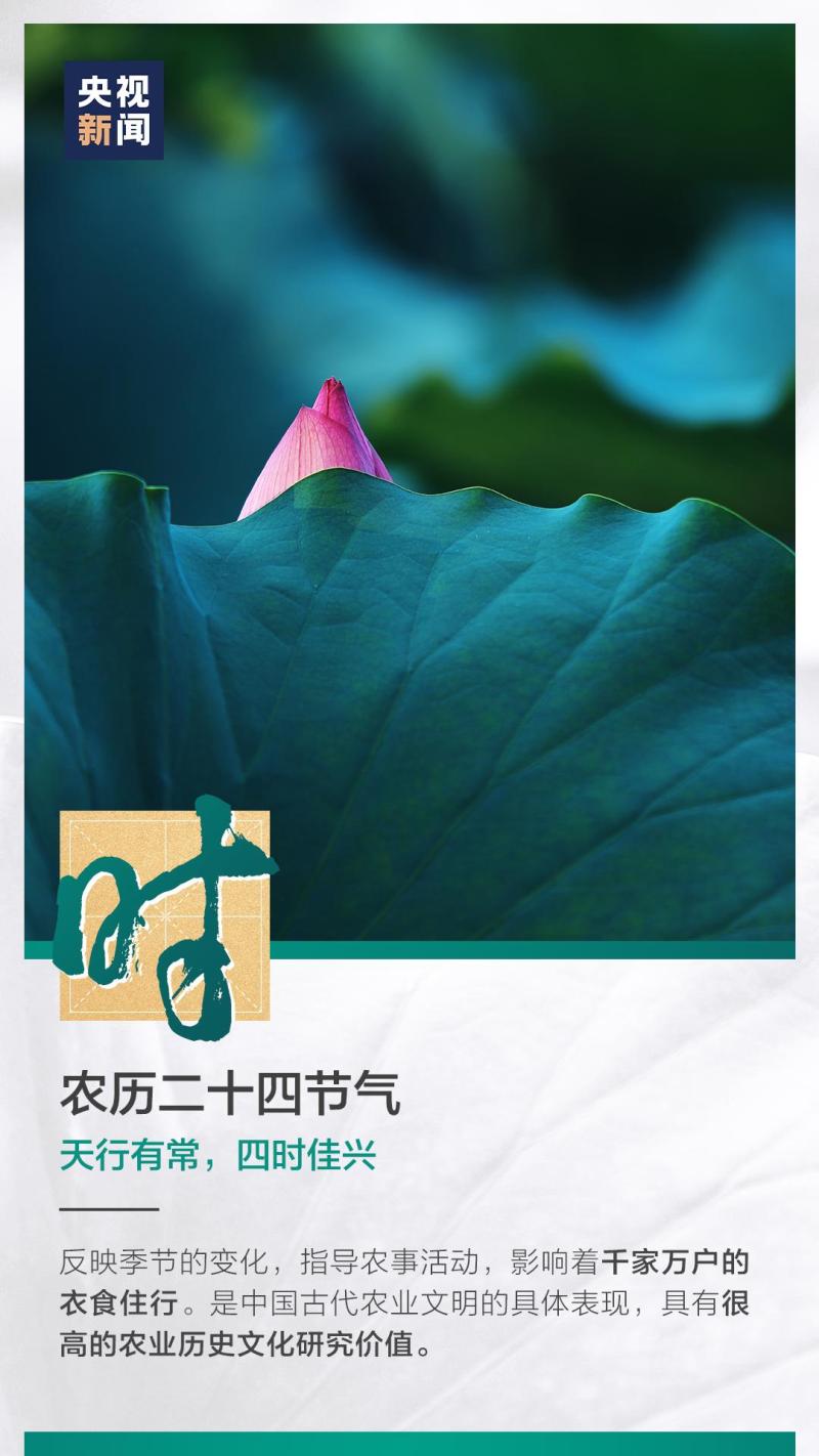 這也太浪漫了吧！