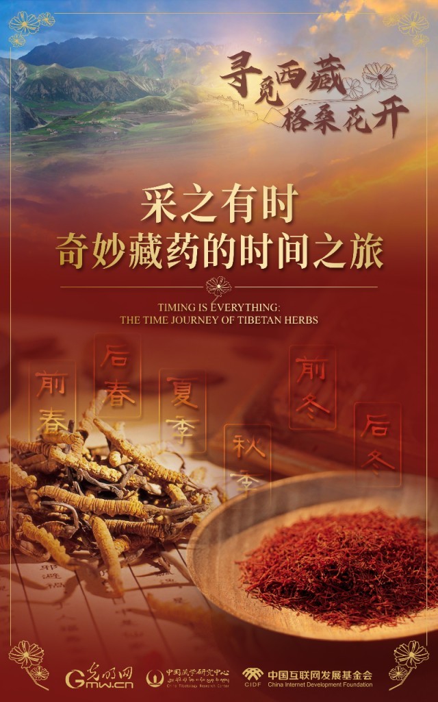 【尋覓西藏·格?；ㄩ_】采之有時：奇妙藏藥的時間之旅