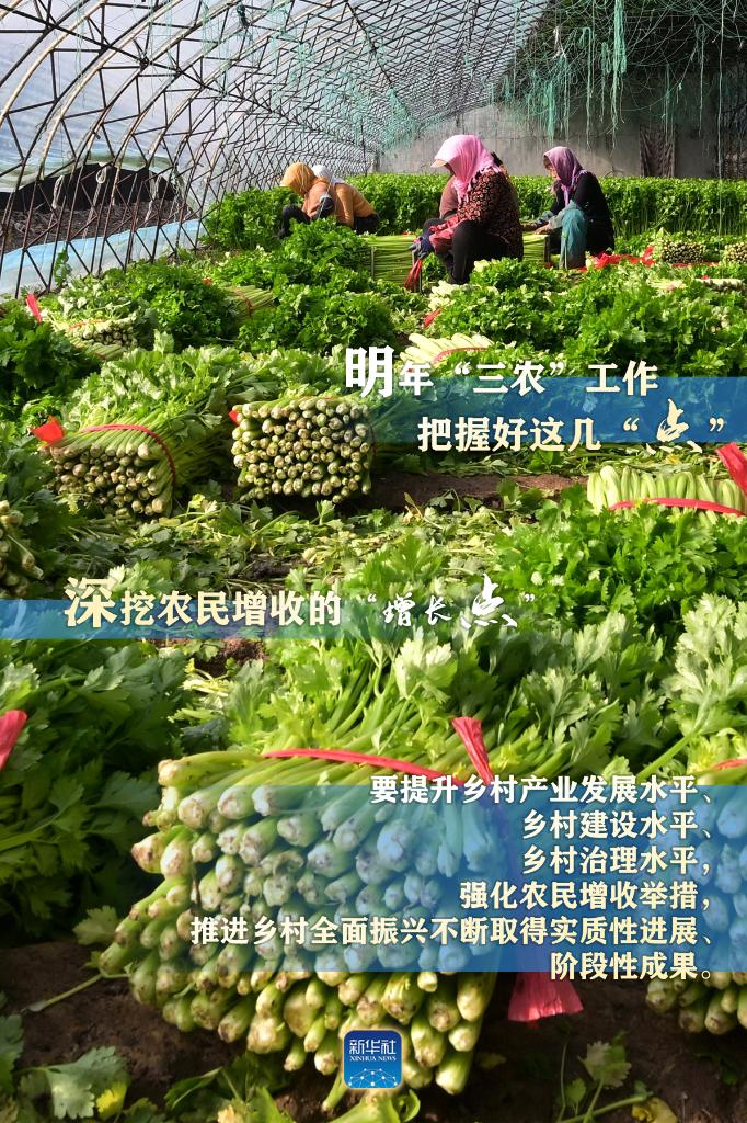 明年“三農(nóng)”工作，這幾個(gè)“點(diǎn)”要把握好