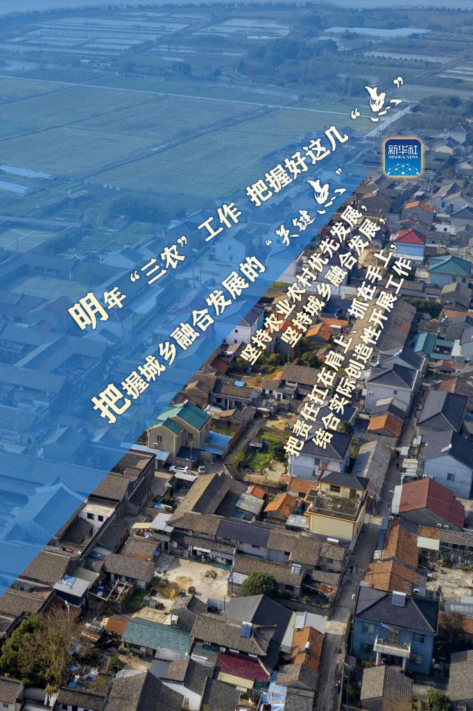 明年“三農(nóng)”工作，這幾個(gè)“點(diǎn)”要把握好