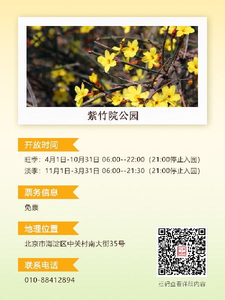 追花指南第二期！京城三月里最撩人的玉蘭觀賞地