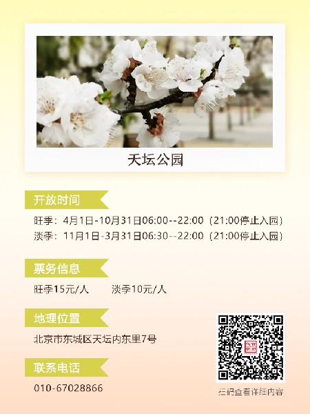 追花指南第六期！杏花雨 楊柳風(fēng) 北京最美的杏花在這里