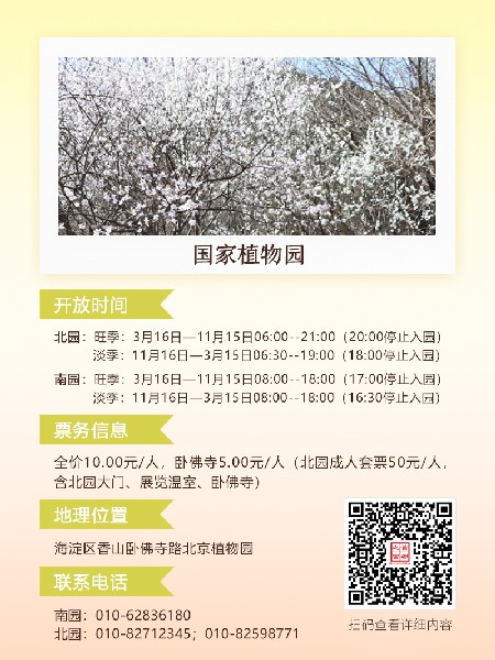 追花指南第六期！杏花雨 楊柳風(fēng) 北京最美的杏花在這里