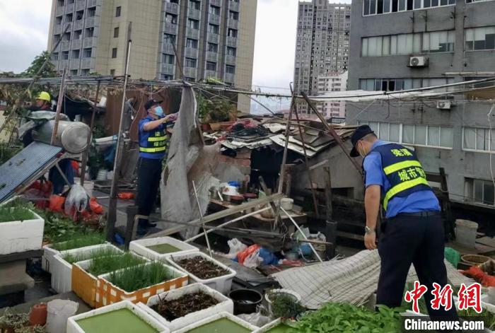 在一處居民樓屋頂，城管隊(duì)員拆除“空中菜園”?！〗疖?攝