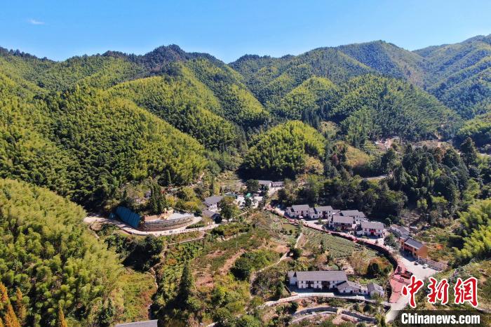 航拍江西井岡山市神山村，青山環(huán)繞，風景秀美。　劉力鑫 攝