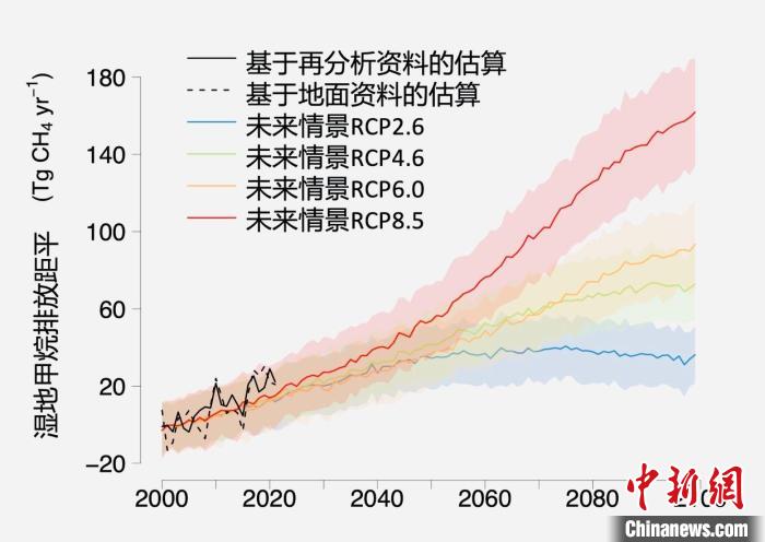 基于觀測(cè)的濕地甲烷排放變化與未來(lái)氣候變化情景下估算的對(duì)比?！≈锌圃呵嗖馗咴?供圖