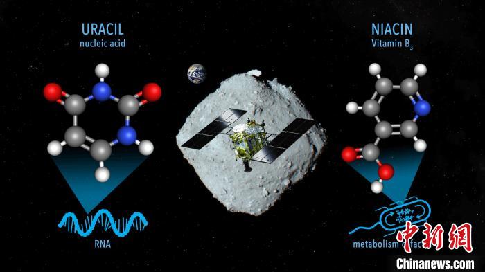 國際最新研究稱，近地小行星“龍宮”上發(fā)現尿嘧啶等核酸堿基