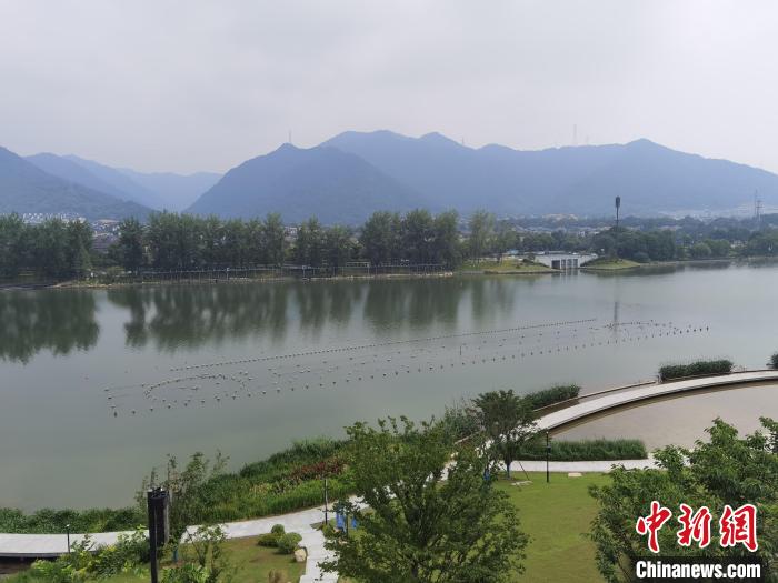 兩岸媒體共探杭州亞運(yùn)會(huì)“綠”在何處？