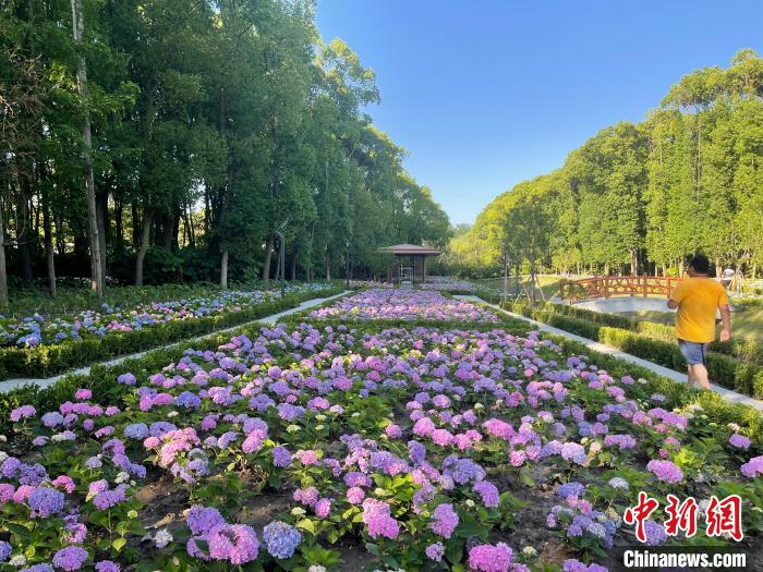 納民意、匯民智上海努力讓“公園城市”建設真正“合民心”
