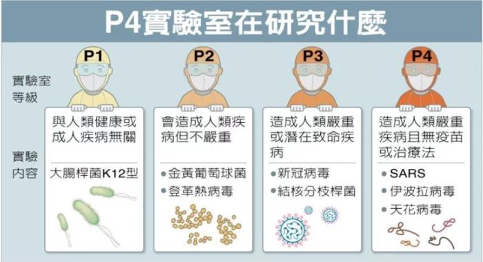 P4實驗室在研究什么。臺灣聯(lián)合新聞網(wǎng)資料圖