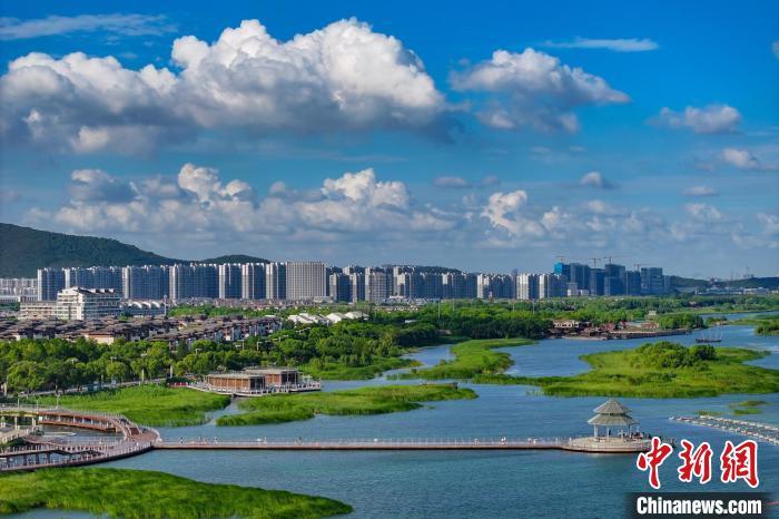 資料圖：航拍蘇州太湖湖濱國家濕地公園，藍(lán)天碧水生態(tài)美。 泱波 攝