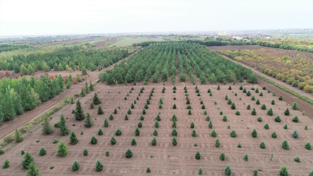 這是2023年9月11日在哈薩克斯坦首都阿斯塔納拍攝的一處植物種質(zhì)資源苗圃（無人機(jī)照片）。新華社發(fā)（法爾哈特·圖克諾夫 攝）
