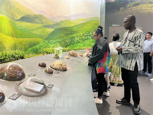   （在中國藥都中醫(yī)藥博物館，外媒記者了解中醫(yī)藥發(fā)展史。中國經(jīng)濟周刊記者 郭志強 攝）