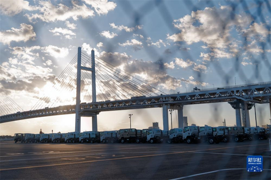 這是11月14日在日本橫濱拍攝的進(jìn)出口汽車集散場地。新華社記者 張笑宇 攝
