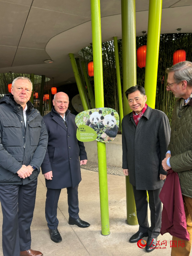 中國駐德國大使吳懇（右二）、柏林市長韋格納（左二）、動物園園長克尼里姆（右一）和監(jiān)事會主席布魯克曼（左一）共同為“夢想”“夢圓”大熊貓紀(jì)念牌揭幕。人民網(wǎng)記者 徐馨攝