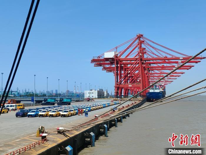 資料圖：國產(chǎn)新能源車在上海外高橋港區(qū)海通碼頭“整裝待發(fā)”?！∑址?攝