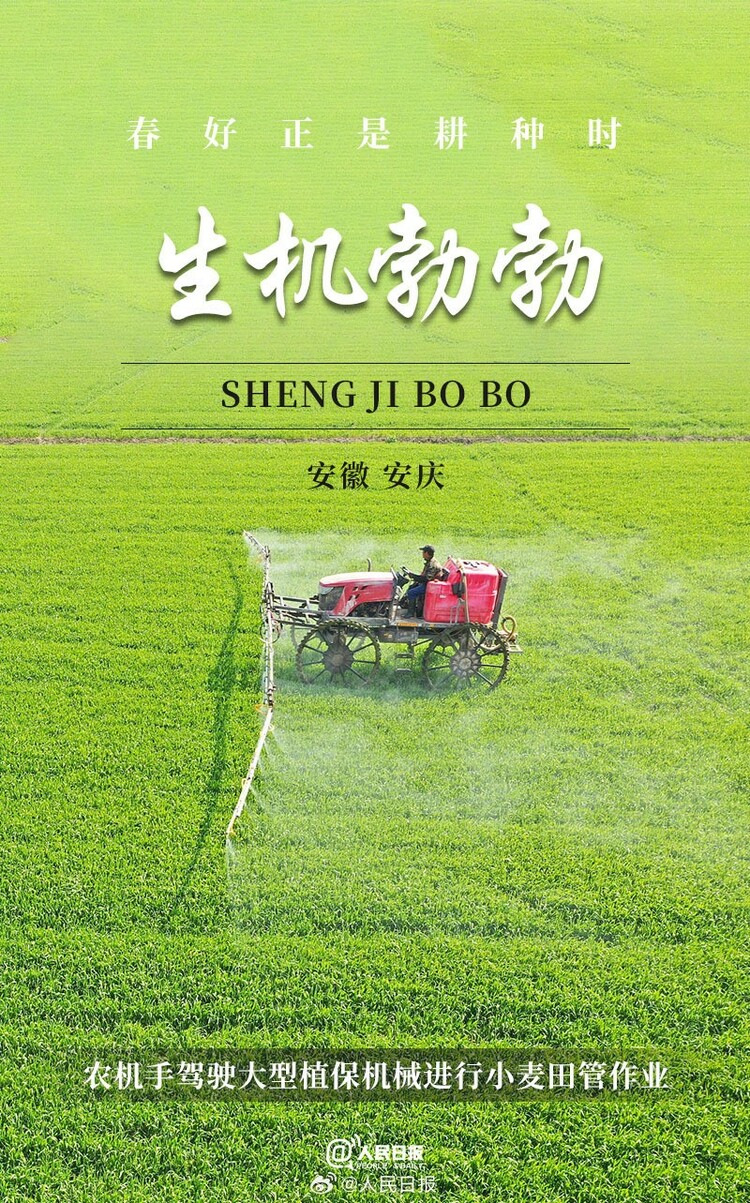 生機(jī)盎然！用課本封面打開春耕畫卷