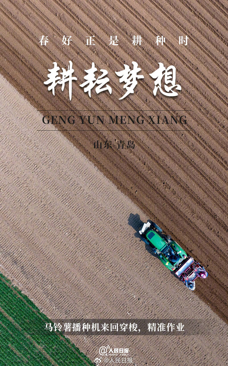 生機(jī)盎然！用課本封面打開春耕畫卷