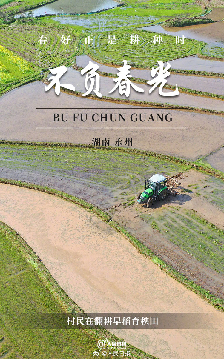 生機(jī)盎然！用課本封面打開春耕畫卷