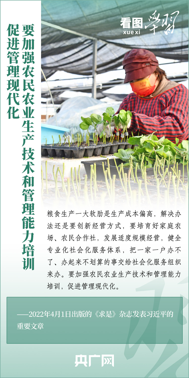 看圖學(xué)習(xí)丨推廣良田、良種、良法、良機(jī) 給農(nóng)業(yè)現(xiàn)代化插上科技的翅膀