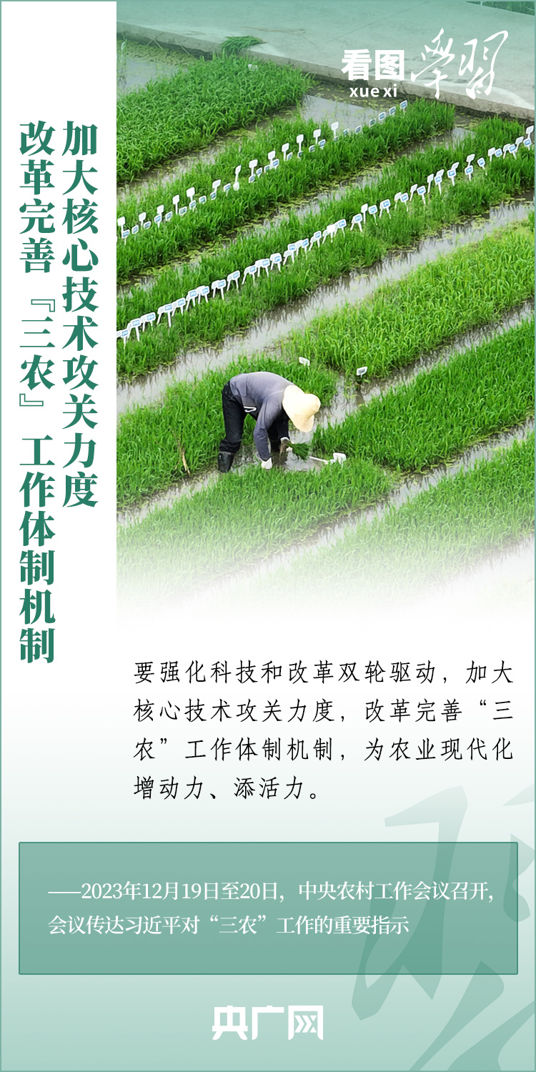 看圖學(xué)習(xí)丨推廣良田、良種、良法、良機(jī) 給農(nóng)業(yè)現(xiàn)代化插上科技的翅膀