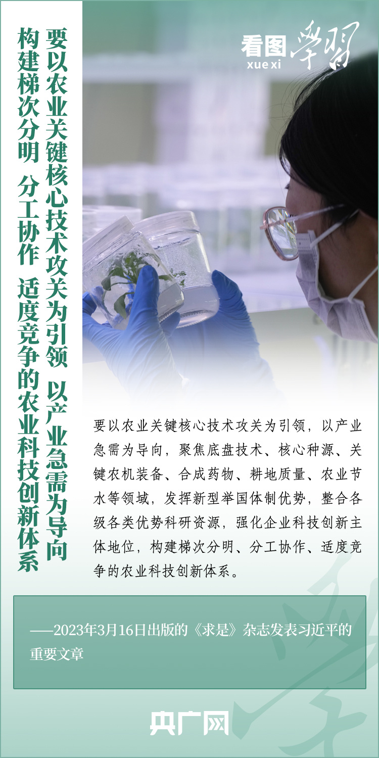 看圖學(xué)習(xí)丨推廣良田、良種、良法、良機(jī) 給農(nóng)業(yè)現(xiàn)代化插上科技的翅膀