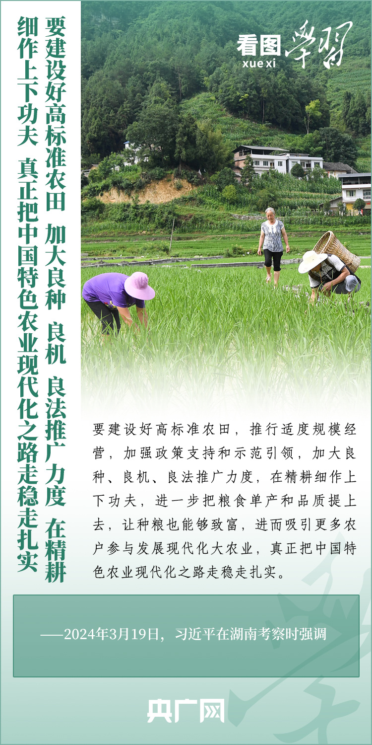 看圖學(xué)習(xí)丨推廣良田、良種、良法、良機(jī) 給農(nóng)業(yè)現(xiàn)代化插上科技的翅膀