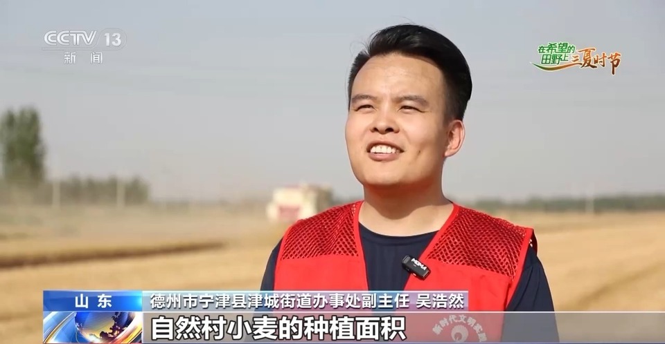 “三夏”生產(chǎn)思維導圖安排上了！還有政府大院等你來“曬”