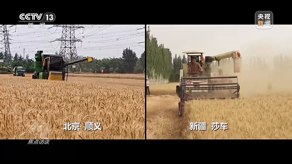 焦點訪談丨一粒良種 萬擔好糧 探索農(nóng)作物高產(chǎn)高質“新密碼”