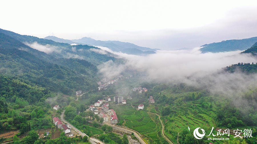 雨后的金寨大灣村，云霧環(huán)繞，宛如一幅田園山水畫(huà)卷。人民網(wǎng) 張俊攝