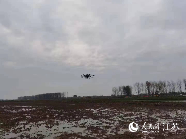 勝利圩高標(biāo)準(zhǔn)農(nóng)田進(jìn)行無人機(jī)水稻播種。陽江鎮(zhèn)供圖
