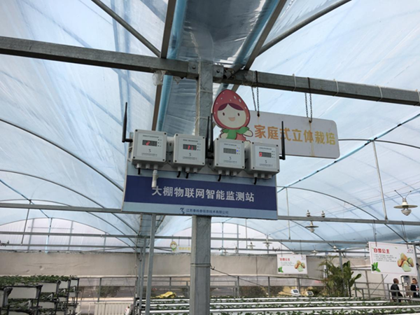 都市四季果園內(nèi)的物聯(lián)網(wǎng)智能監(jiān)測站系統(tǒng)。東海縣委宣傳部供圖