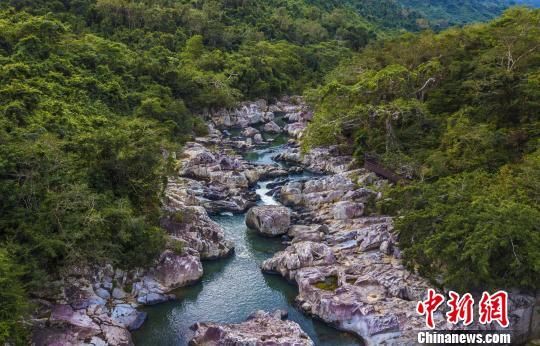 2018年海南生態(tài)環(huán)境狀況等級(jí)為“優(yōu)”，植被覆蓋率高，生物多樣性豐富，生態(tài)系統(tǒng)穩(wěn)定，圖為海南中部熱帶雨林?！●樤骑w　攝