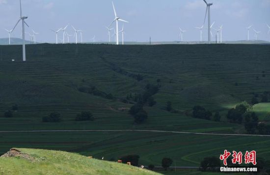 6月28日，河北張家口張北草原上大片風(fēng)力發(fā)電的“風(fēng)車”規(guī)模宏大。 中新社記者 楊艷敏 攝