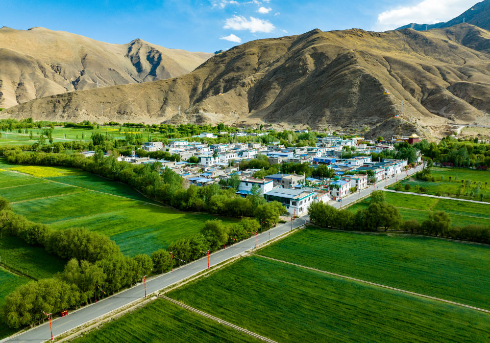 西藏乃東:藏戲“活”起來 鄉(xiāng)村富起來