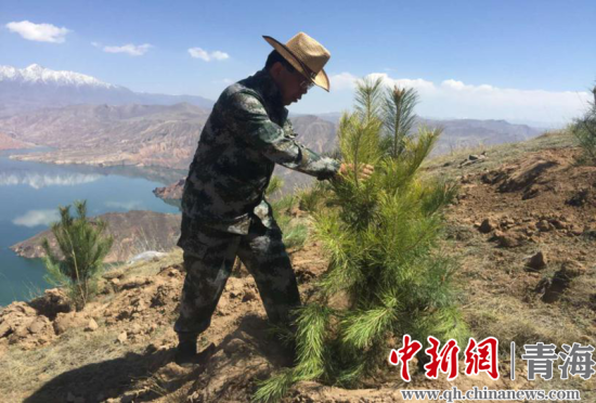 圖為尖扎干部職工生態(tài)建設(shè)和環(huán)境保護(hù)現(xiàn)場(chǎng)。尖宣 供圖
