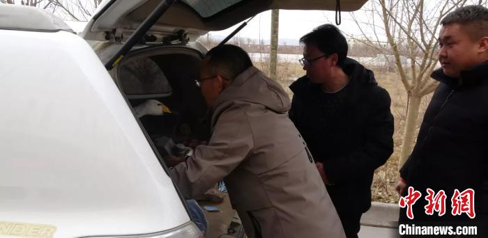 圖為民警救助國(guó)家二級(jí)保護(hù)動(dòng)物——大天鵝。青海省公安廳森林警察總隊(duì)供圖