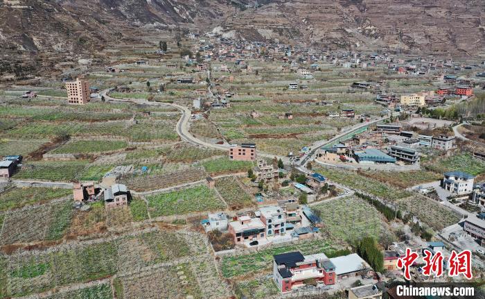 潔白的李花與村寨交相輝映，勾勒出一幅美麗的和諧生態(tài)畫(huà)卷?！『吻搴?攝
