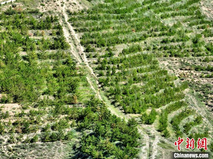 航拍建行青海省分行綠化區(qū)?！∑钤鲚?攝