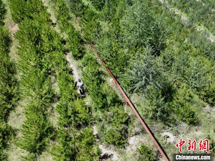 航拍建行青海省分行綠化區(qū)施工隊隊長盧占祥正在巡護綠化區(qū)?！∑钤鲚?攝