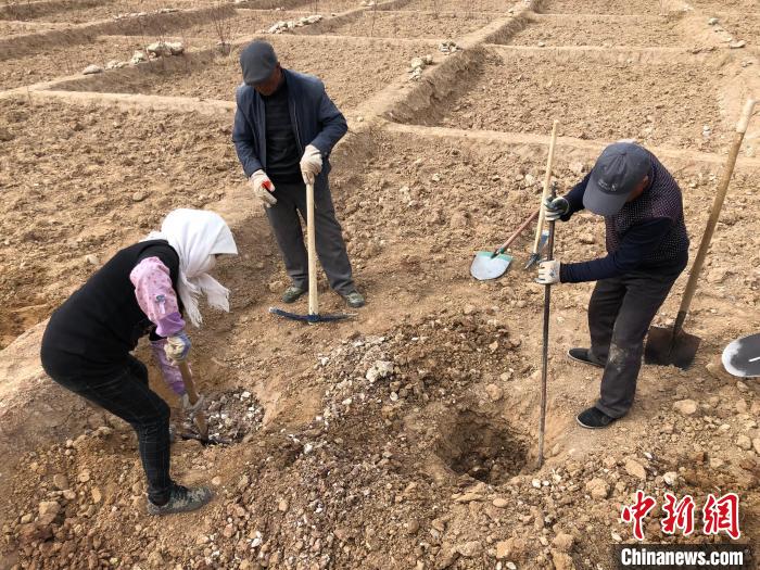 資料圖為建行青海省分行綠化區(qū)施工隊隊員處理亂石。　建行青海省分行供圖