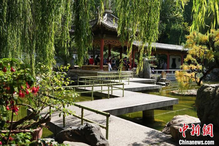 圖為西寧園林植物園秋日風(fēng)景別有韻味?！●R銘言 攝