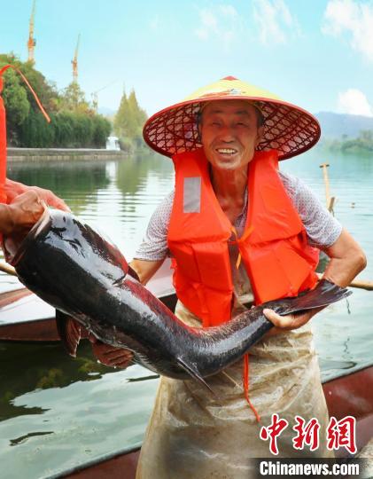 工作人員展示捕撈成果?！≈鬓k方供圖