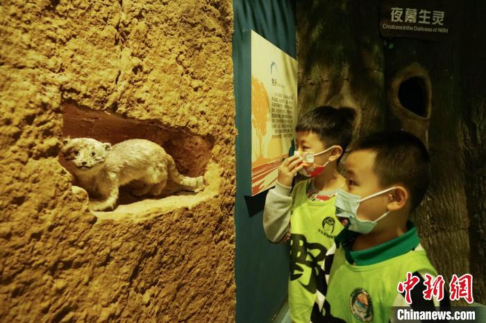 圖為小朋友在青海西寧湟水國家濕地公園科普館內(nèi)參觀學(xué)習(xí)?！●R銘言 攝
