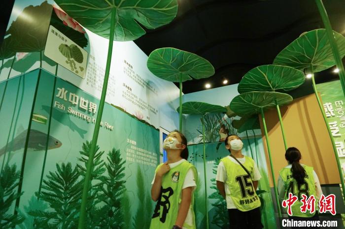 圖為小朋友在青海西寧湟水國家濕地公園科普館內(nèi)參觀學(xué)習(xí)?！●R銘言 攝