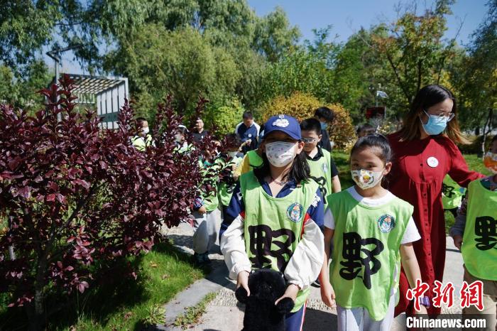 圖為小朋友在青海西寧湟水國家濕地公園內(nèi)認識植物?！●R銘言 攝
