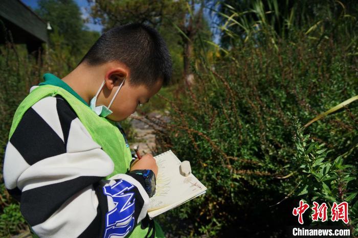 圖為小朋友在青海西寧湟水國家濕地公園內(nèi)認識植物并進行繪畫?！●R銘言 攝
