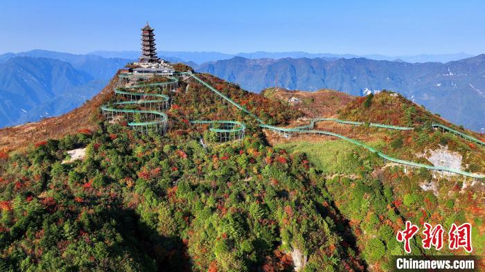 巴山大峽谷彩林迎來最佳觀賞期?！∫κ?攝