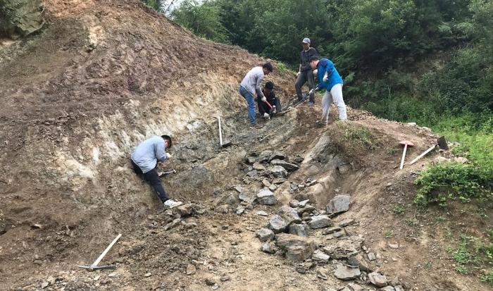 2018年玉海翼角魚野外發(fā)掘采集現(xiàn)場。　蓋志琨 攝